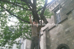 72 Stunden Aktion (10)