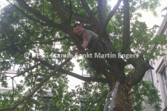 72 Stunden Aktion (11)