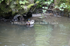 Pfingstlager 2013 - 10