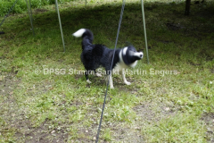 Pfingstlager 2013 - 11