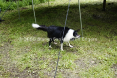 Pfingstlager 2013 - 12