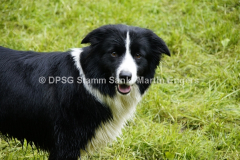 Pfingstlager 2013 - 17