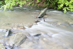 Pfingstlager 2013 - 18