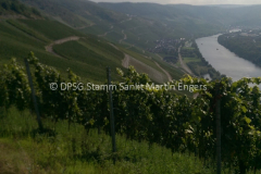 Gruppenfahrt Meute Adler 2015 - 6