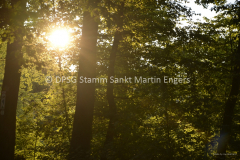 Hike der Sippe Krokodil 201513