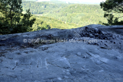 Hike der Sippe Krokodil 201524