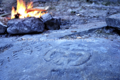 Hike der Sippe Krokodil 201525