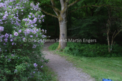 Pfingstlager 2015113