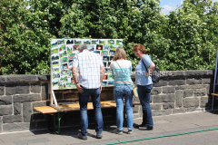 Duckesjefest 2016 - 95