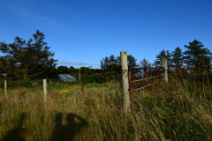 Hike Sippe Krokodil - Irland - 0001