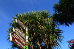 Hike Sippe Krokodil - Irland - 0002