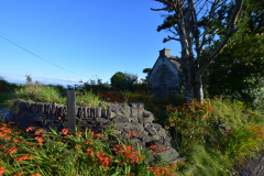 Hike Sippe Krokodil - Irland - 0003