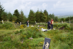 Hike Sippe Krokodil - Irland - 0029