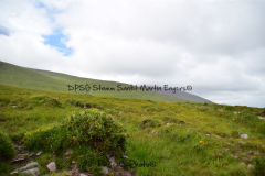 Hike Sippe Krokodil - Irland - 0030