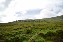 Hike Sippe Krokodil - Irland - 0031