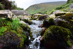 Hike Sippe Krokodil - Irland - 0032
