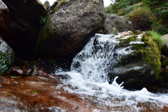 Hike Sippe Krokodil - Irland - 0033