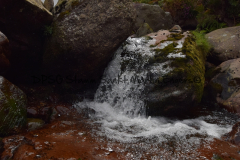 Hike Sippe Krokodil - Irland - 0034