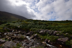 Hike Sippe Krokodil - Irland - 0035