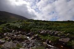 Hike Sippe Krokodil - Irland - 0036