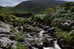 Hike Sippe Krokodil - Irland - 0037