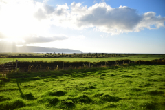Hike Sippe Krokodil - Irland - 0044