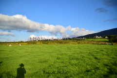 Hike Sippe Krokodil - Irland - 0045