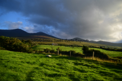 Hike Sippe Krokodil - Irland - 0046