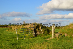 Hike Sippe Krokodil - Irland - 0048