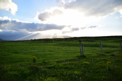 Hike Sippe Krokodil - Irland - 0057