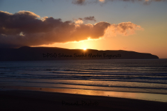 Hike Sippe Krokodil - Irland - 0064