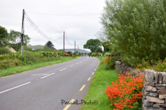 Hike Sippe Krokodil - Irland - 0068