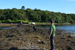 Hike Sippe Krokodil - Irland - 0081