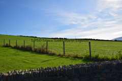 Hike Sippe Krokodil - Irland - 0089