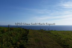 Hike Sippe Krokodil - Irland - 0110