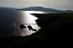 Hike Sippe Krokodil - Irland - 0119