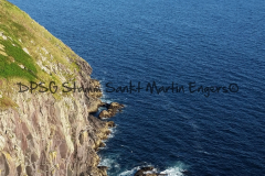 Hike Sippe Krokodil - Irland - 0126