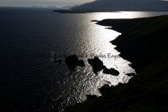 Hike Sippe Krokodil - Irland - 0128