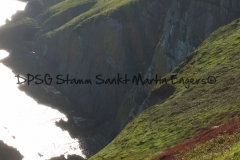 Hike Sippe Krokodil - Irland - 0140