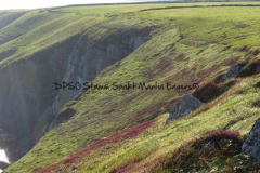 Hike Sippe Krokodil - Irland - 0147