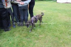 Pfingstlager 2016 - 251