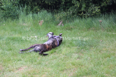 Pfingstlager 2016 - 254