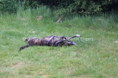 Pfingstlager 2016 - 255