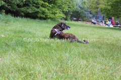 Pfingstlager 2016 - 262