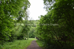 Wölflings- und Jufi Tag Bezirk - 47