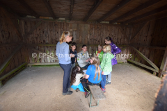 Wölflings- und Jufi Tag Bezirk - 48