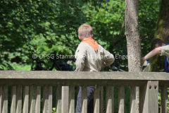 Wölflings- und Jufi Tag Bezirk - 60