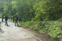 Brex - Aktionstag - 0002