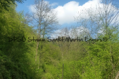 Brex - Aktionstag - 0009