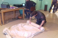 Frühjahrsputz - 0006